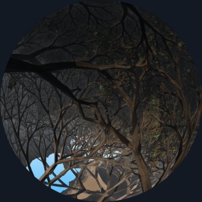Fractal Nature